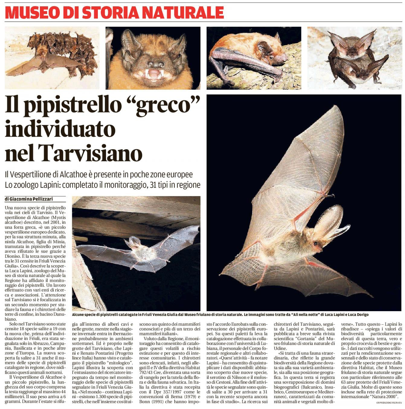 G Pellizzari Messaggero Veneto 16apr2018.jpg