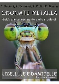 odonata.jpg