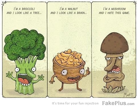 im-a-mushroom-and-i-hate-this-fuking-game_20120330043429.jpg