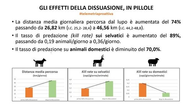 Effetti dissuasione proattiva su Canis lupus in Veneto IMG-20211110-WA0018 (2).jpg