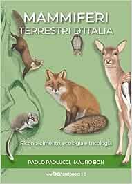 mammiferi terrestri d'Italia.jpg