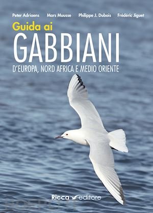 guida dei gabbiani.jpg